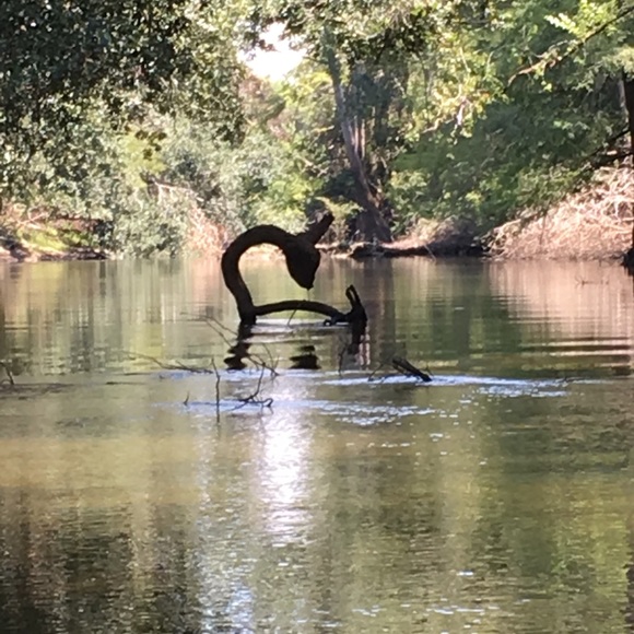 Meet your Posher, Alma - Picture 1 of 2